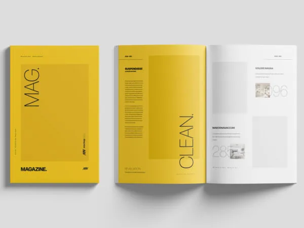 11×17 Magazine Mockup 1