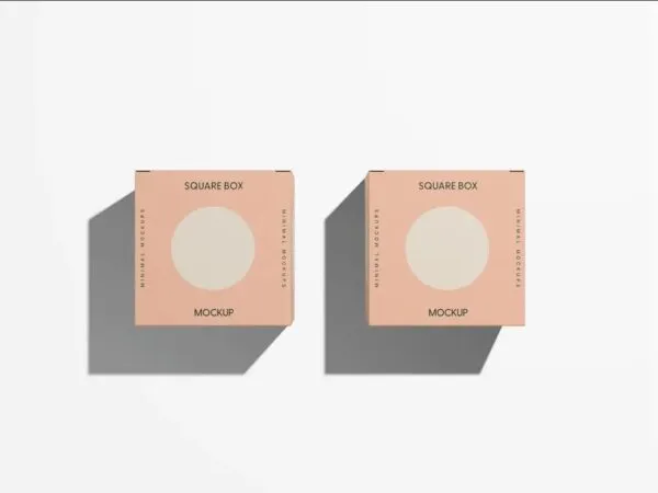 2 Boxes Mockup in Top Sight 1