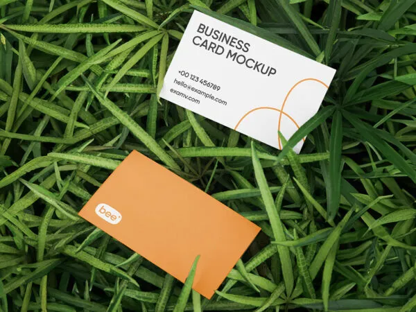 2 Business Cards on Grass Surface Mockup 1