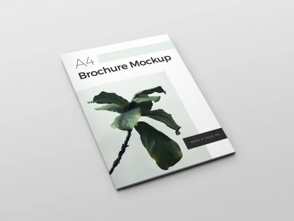 2 Mockup Showing a Simple A4 Booklet 1