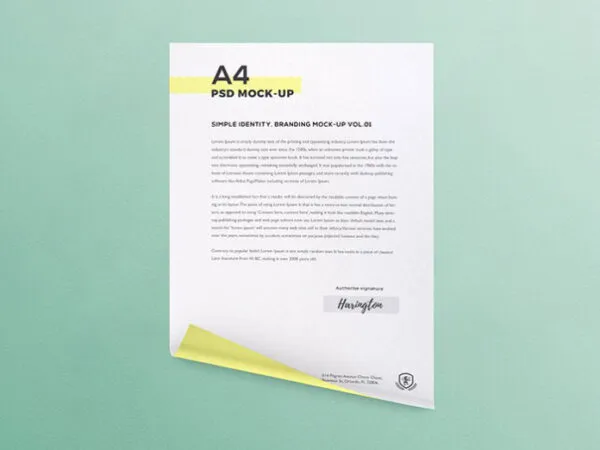 3 Mockups of a Curled A4 Paper in Different Views 1