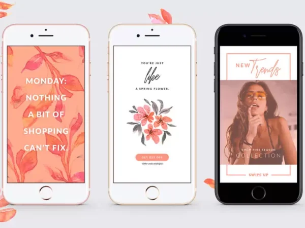 3 Pink Lovely Blush Flyer Instagram Stories Template 1
