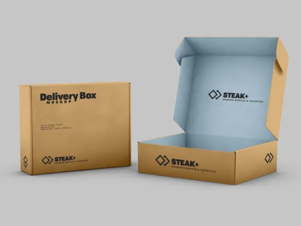 34 View of Two DeliveryShipping Boxes Mockup 1