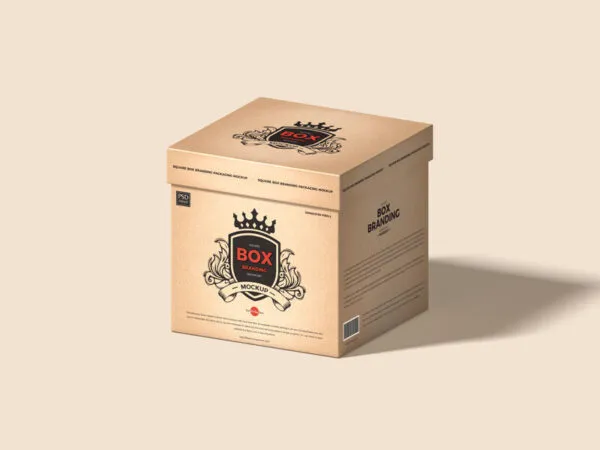 34 View of a Square Box Branding Packaging Mockup 1
