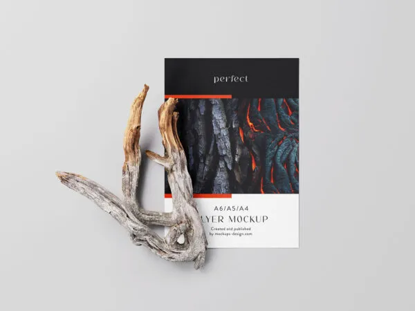 4 A4 Flyer Mockups With Dry Branch in Varied Views 1