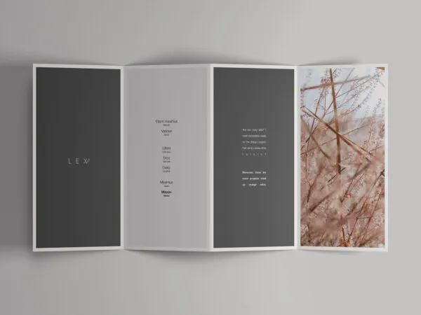 4 Folded Stunning Open Brochure Mockup 1