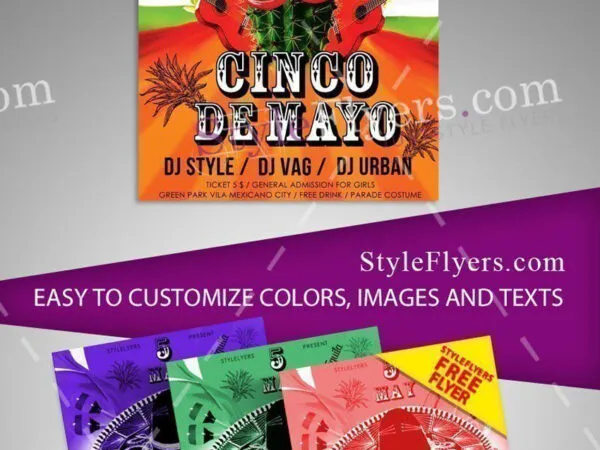 4 Illustrated Thematic Cinco De Mayo Flyer Templates 1
