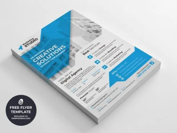 5 Clean Infographic Corporate Flyer Template 1