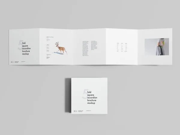 5 Fold Square Accordion Brochure Mockup 1