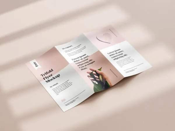 5 Mockups of Tri fold DL Brochure in Different Shots 1