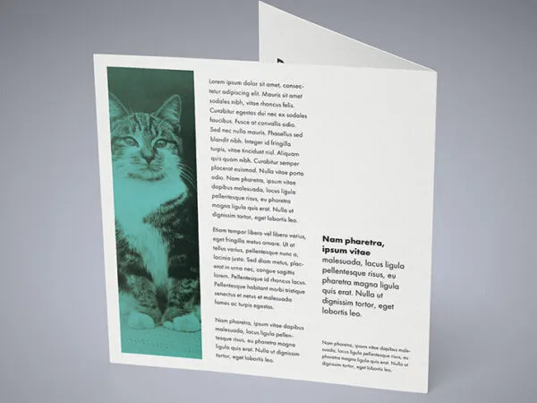 5 Mockups of a Square Bi Fold Brochure in Different Positions 1