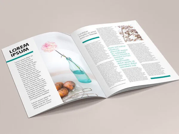 6 Mockups of A4 Brochures in Different Views 1