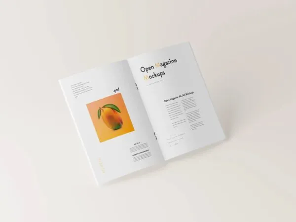 6 Open Magazine Mockups in Different Sights 1