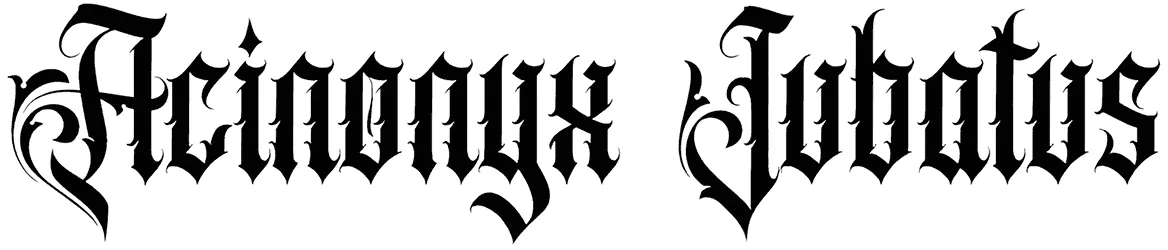 Acinonyx Jubatus Font 1
