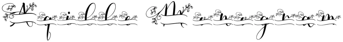Aqille Monogram Font 1