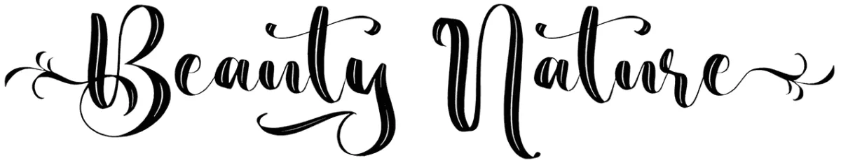 Beauty Nature Font 1