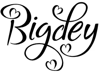 Bigdey Font 1