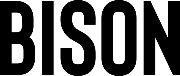 Bison Font 1