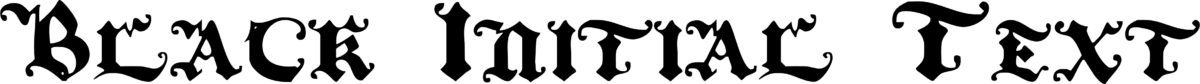 Black Initial Text Font 1