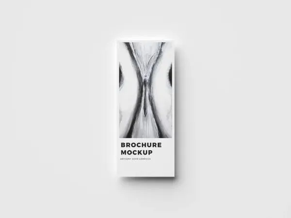 Black and White Modern Brochure Mockup 1