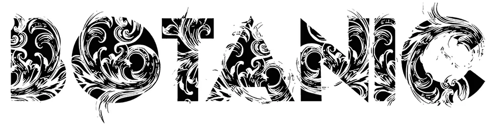 Botanic Font 1