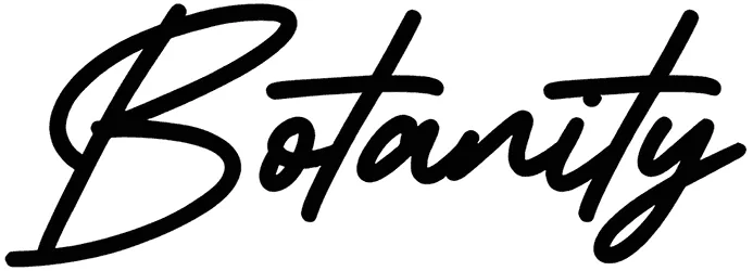 Botanity Font 1