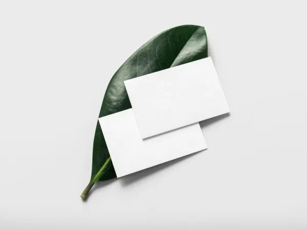Business Card Mockup on a Leaf 1
