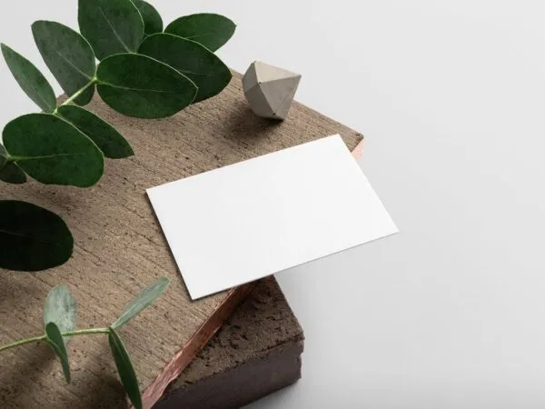 Business Card Mockup with Wood and Plant Background 1