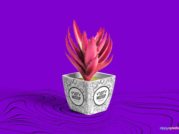 Creative Plant Pot Design Mockup 1