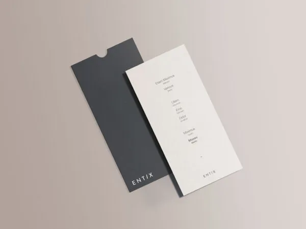 DL Vertical Flyer Mockup with a Sliding Cover 1