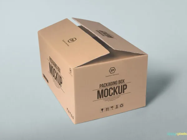 Different Sides and Positions of a Packaging Box Mockup 2