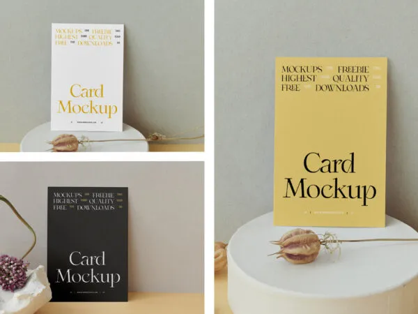 Face on View of 3 Card Mockups on Desk 1