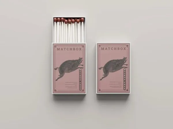 Five Matchbox Mockups with Matches in Varied Views 1