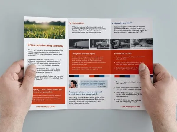 Flat Tri Fold Brochure Template with a Red White Color Scheme 1