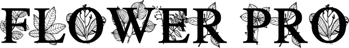Flower Pro Font 1
