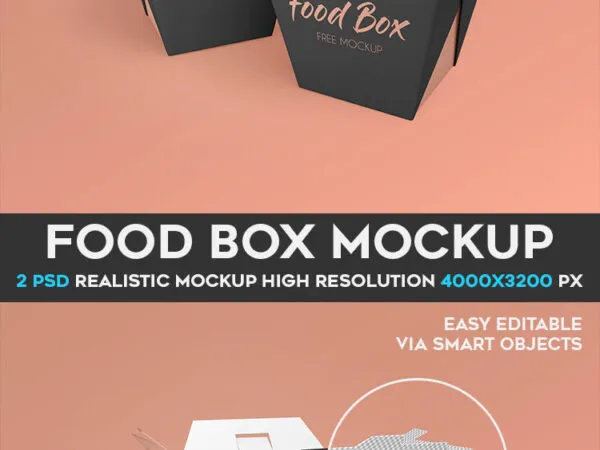 Food Takeout Box Packaging Mockups 1