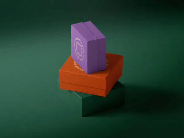 Front Sight of 3 Boxes Mockup 1