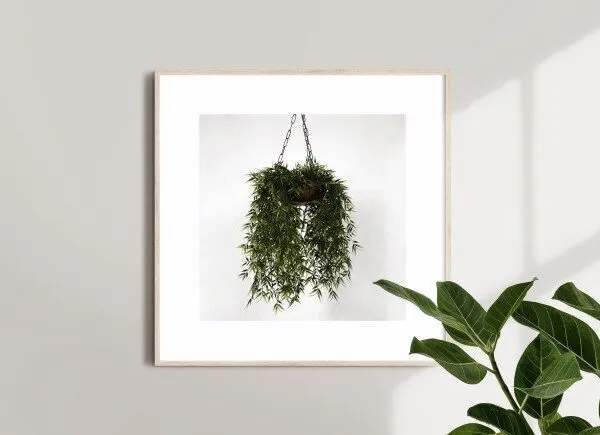 Front View Square Poster Frame on Wall Mockup with Plant 1