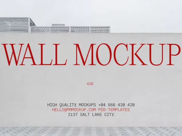 Front View Wall Mockup 1