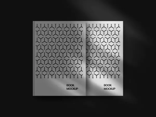 Front View of 2 Books Mockup with Overlay Shadows 1