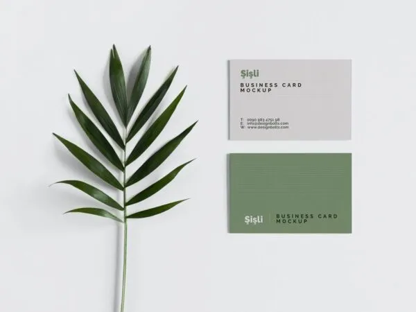 Front View of 2 Minimalistic Business Cards Mockup 1