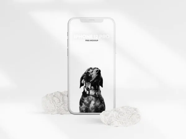 Front View of Clean iPhone 12 Pro Clay Mockup 1