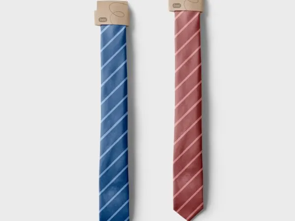 Front View of Simple Tie Mockup 1