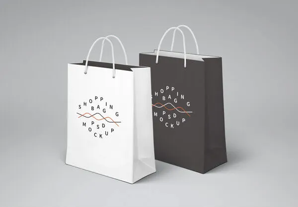 Front View of Two Standing Paper Shopping Bag Mockup 1