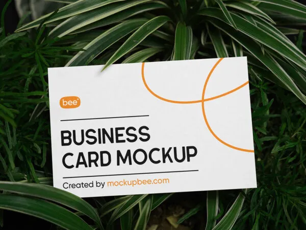 Front Vision of Business Card Mockup in Grass 1