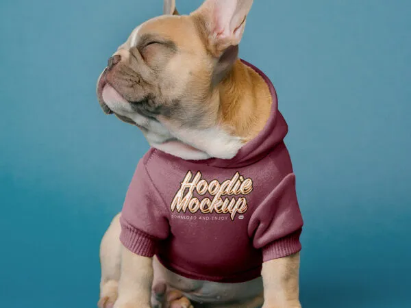Front Vision of Small Dog Hoodie Mockup 1