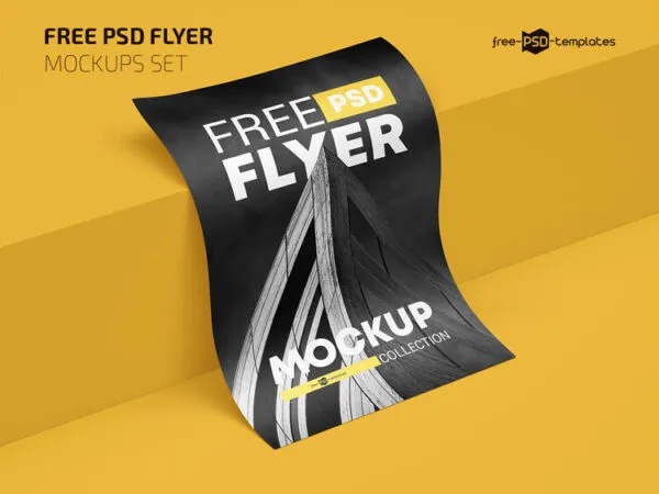 Front and Perspective View of 3 Flyer Mockups 1