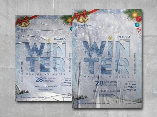 Frosty Winter Moments Flyer Template 1