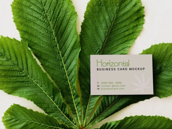 Horizontal and Vertical Business Card Mockup Set 1