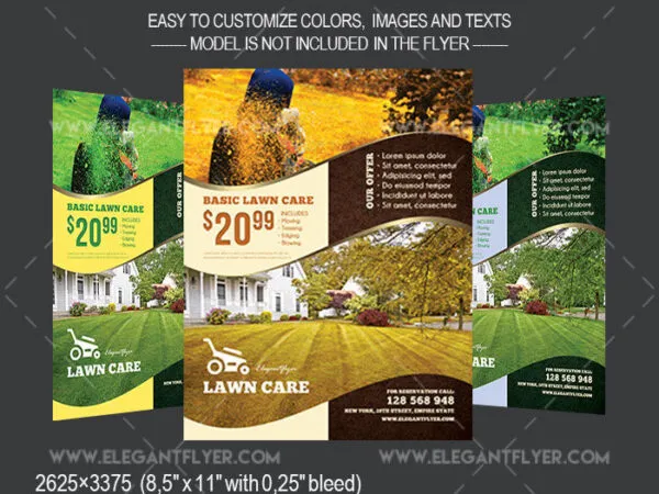 Infographic Lawn Care Flyer Template Plus a Facebook Cover 1
